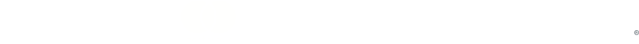 Necati Emir Zeytinyağları Footer Logo